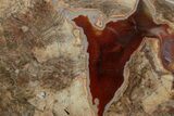 Colorful Polished Thunderegg Half #373454-1